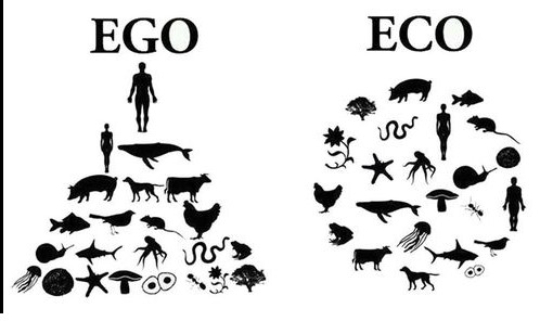 ego eco