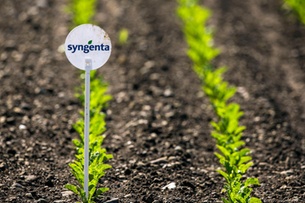 Syngenta deal will 'drive modernisation' of Chinese farming