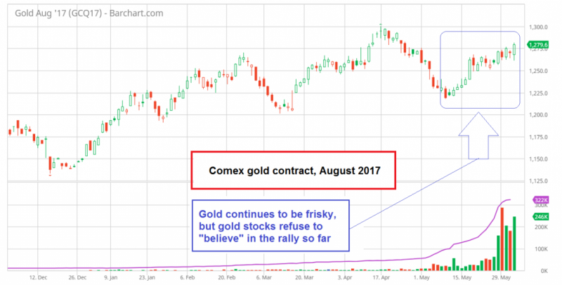 August Gold, 2017