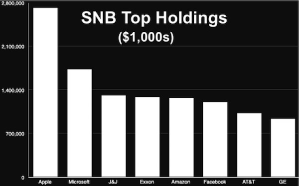 SNB Holdings