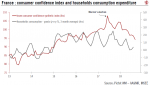 France: consumer confidence index and households consumption expenditure