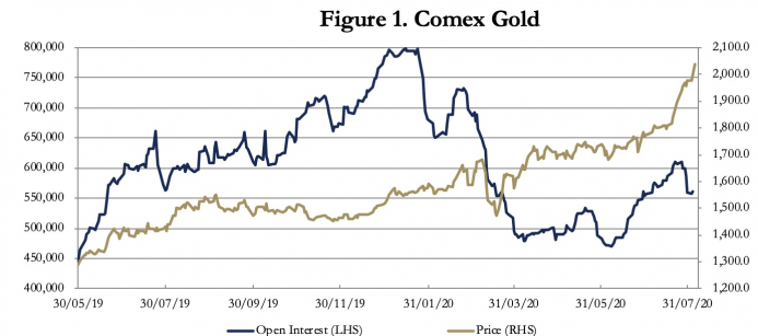 Comex Gold, 2019-2020