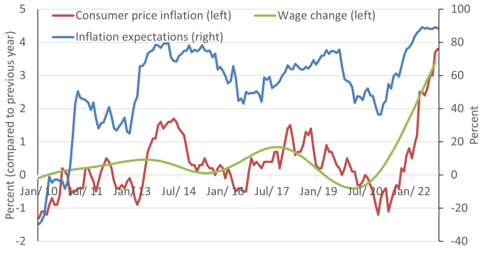 Is the Japanese Low Inflation–Low Interest Rate Model at an End?