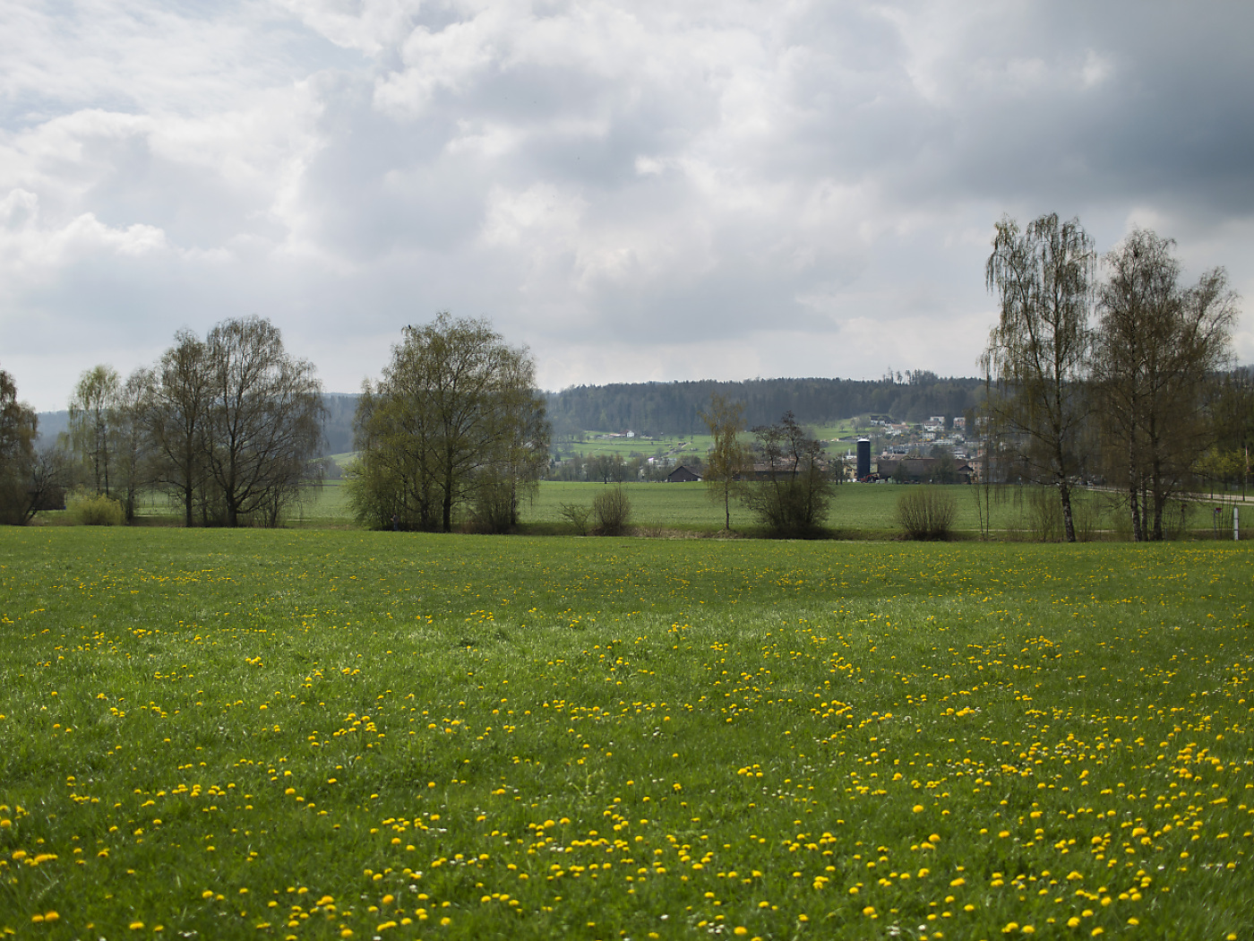 Swiss to reduce administrative burden on farms from 2026