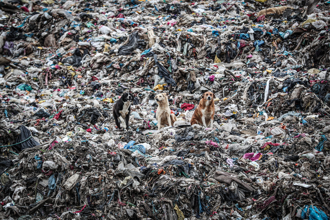 Are Western countries doing enough to tackle waste trafficking?