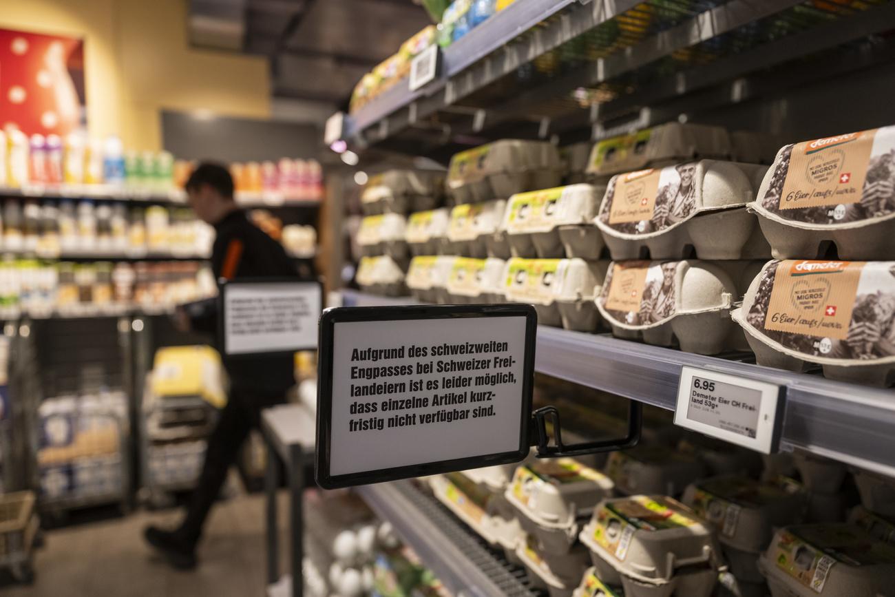 Egg shortages force food industry to think outside the coop 