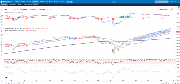 Momentum Strategies And Physics: Mass And Velocity Matter