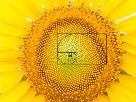 Fibonacci In Mona Lisa And Markets