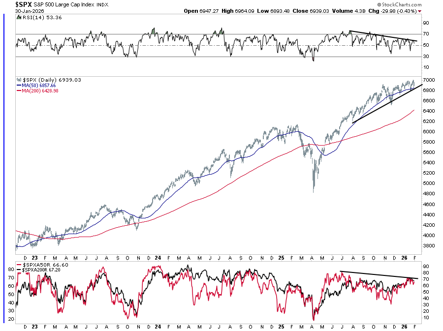 Bears Are An Endangered Species
